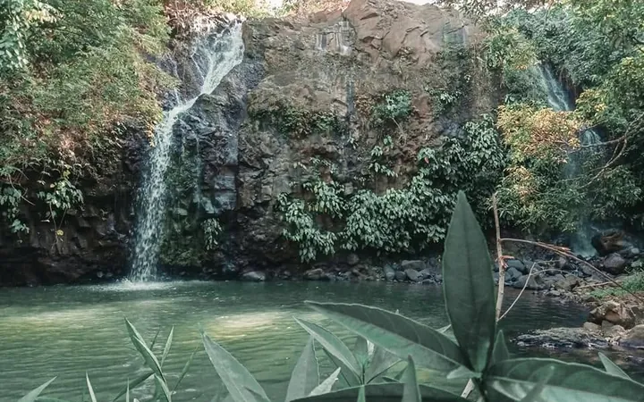 Mercedes Falls dropping down a rock face into a green plunge pool ringed by forest, Barangay Mercedes, Dimataling.