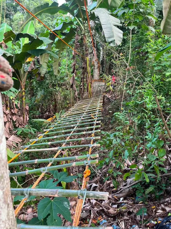 A lashed bamboo ladder bridge climbing a steep forested slope on the camp trail