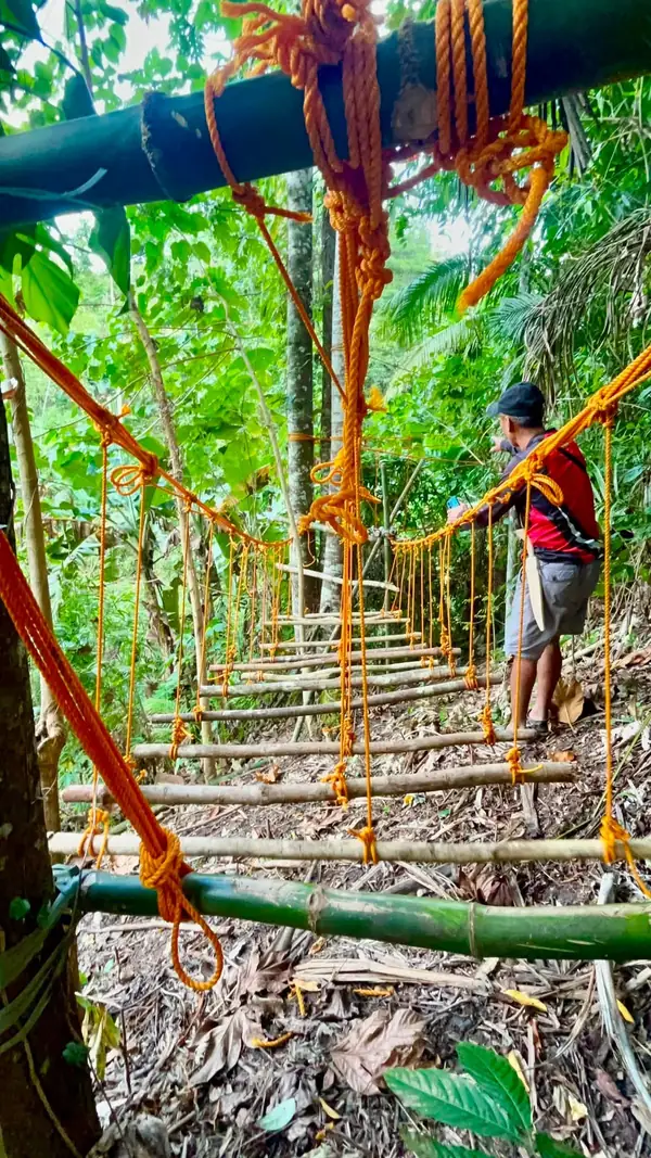 A scout-built rope monkey bridge strung between trees over a jungle slope with a man crossing it