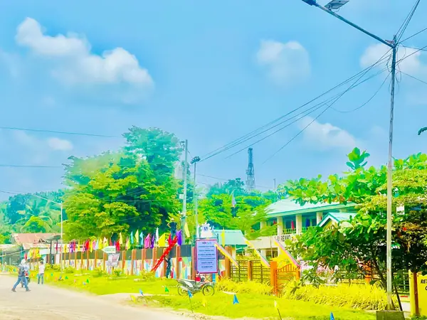 A Dimataling street decorated with jamboree flags and banners ahead of the event